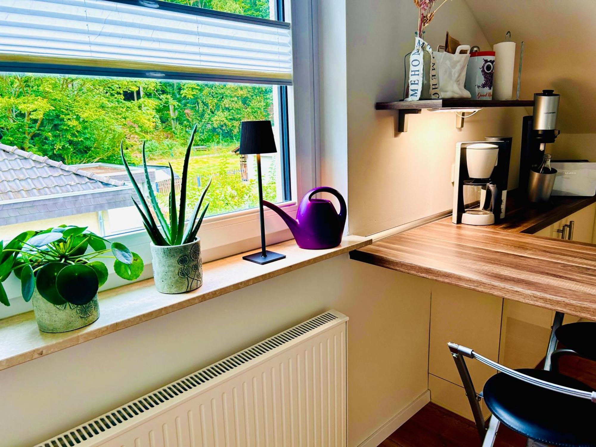 Ferienwohnung "Bei Freunden" Naumburg  Exteriör bild